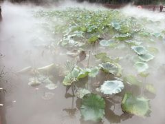 -重元寺香积厨素斋馆