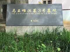-马王堆汉墓遗址