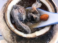 原只椰子炖竹丝鸡-達揚原味燉品(文明路店)