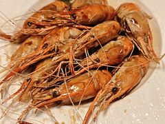 -新白鹿餐厅(百联中环店)