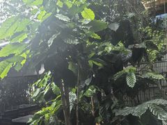 -豆舞咖啡(民乐路店)