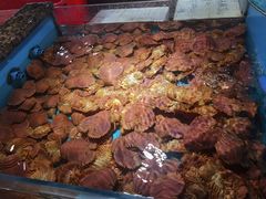 -拉完海鲜大排档(温岭店)