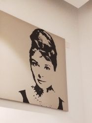 点击看大图 -玛莲朵·海菲秀冰珀科