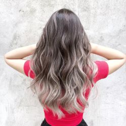 -SALON V