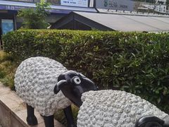 -人民公园-相亲角