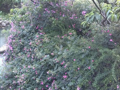 android_upload_pic-太湖渔洋山