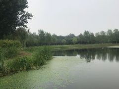-东郊湿地公园