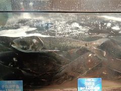 -上名堂·鱼头好吃(体育场路店)