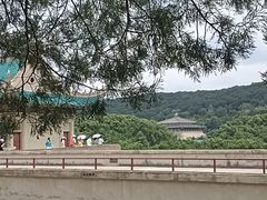 -武汉大学-樱园