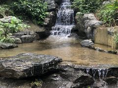 -梧桐山风景名胜区