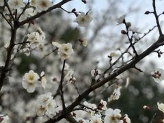 -杏花村文化旅游区