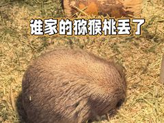 -仲盛世界商城
