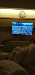 -上海艾儿贝佳妇产科医院