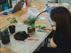 -弗劳尔花艺坊(龙涛店)