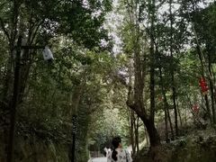 -泰宁旅游风景名胜区
