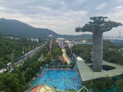 -苏州乐园森林水世界