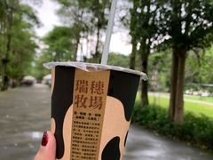 -瑞穗牧场