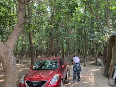-亲兄弟真人CS团建拓展基地