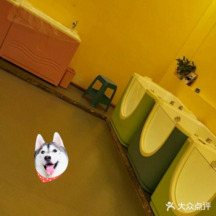 人是鱼🐟做的，还是水里凉快