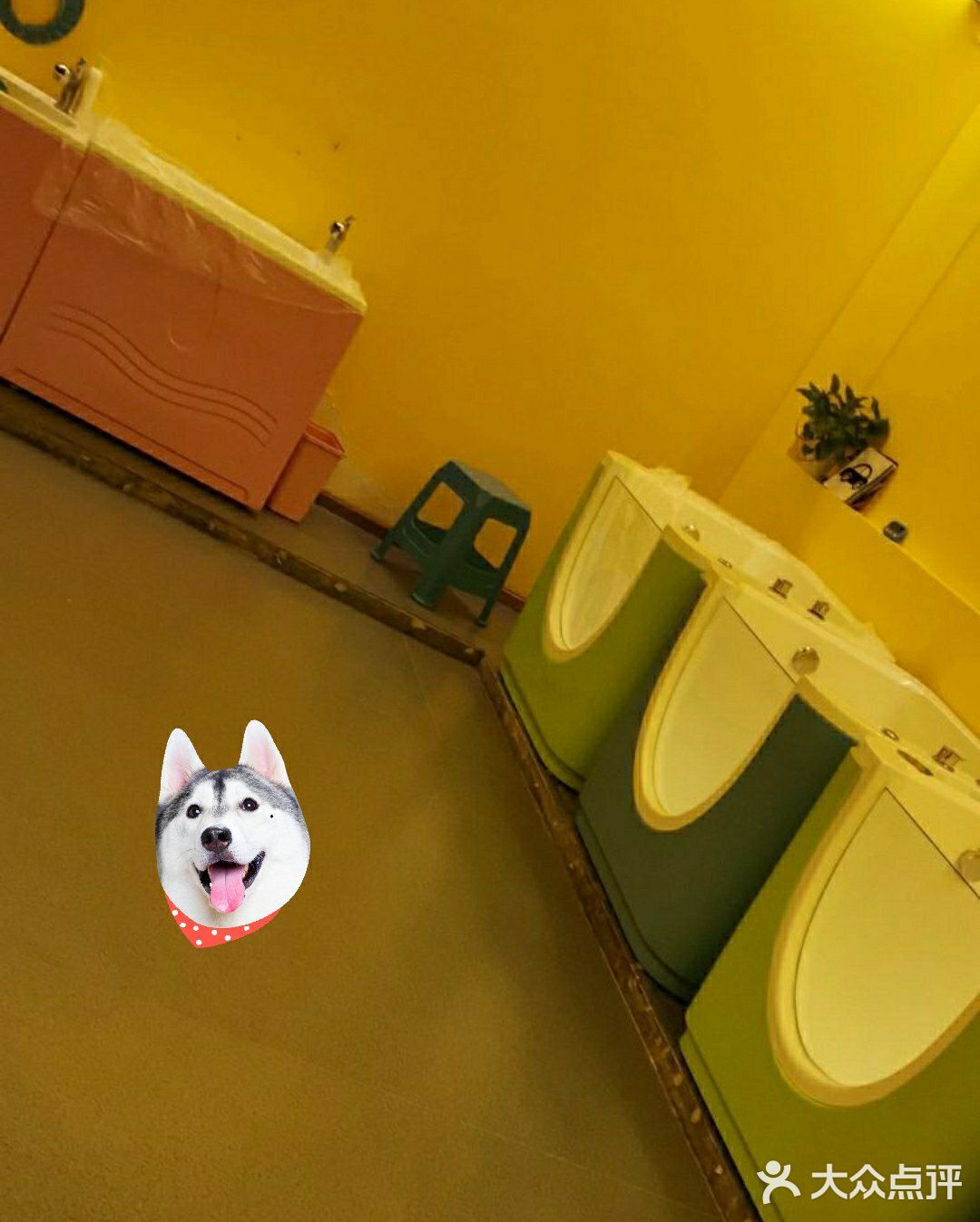 人是鱼🐟做的，还是水里凉快