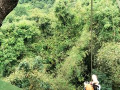 -清迈丛林飞跃 JungleFlight