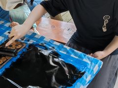 -前小桔亲子创意农场·草莓采摘·露营烧烤