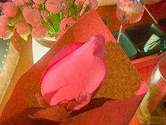 -阿卡贝拉音乐汇(印象城店)