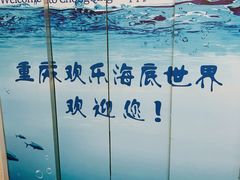 -重庆欢乐海底世界