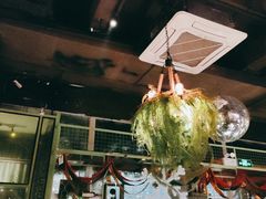 -胡桃里音乐酒馆(罗湖HALO广场店)