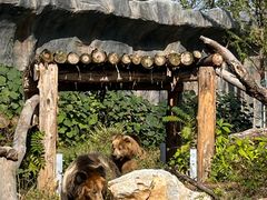 -武汉动物园