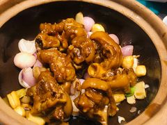 -望乡楼上海菜(日月光店)