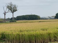 -嘉北郊野公园
