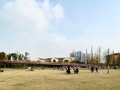 -府河摄影公园
