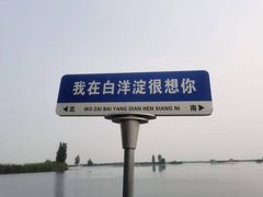 -白洋淀风景区