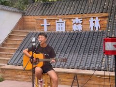 -十亩森林