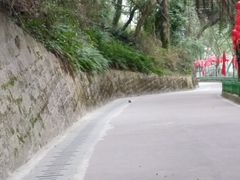 -金鸡山公园