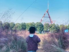 -艾溪湖湿地公园