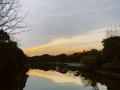 -上海海湾国家森林公园