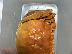 熟醉大闸蟹-佬太公海鸭·海鲜大排档(上海总店)
