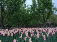 -长春公园(普阳街道)