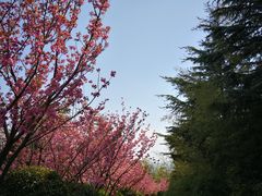 -石老人观光园