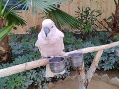 -南宫五洲植物乐园