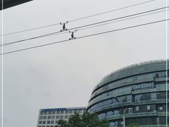 -首都医科大学宣武医院