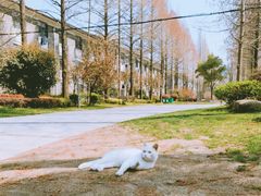 -复旦大学任重书院(光华大道店)
