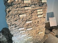 -南越王博物院(王宫展区)