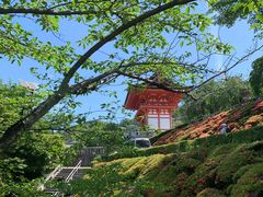 -有栖山 清光院 清水寺