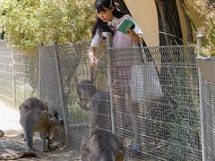 -费瑟代尔野生动物园