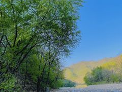 -龙道沟景区