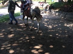 -泉州海丝野生动物世界