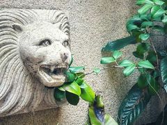 -Osteria Garden 生蚝花园餐厅(原进贤路店)